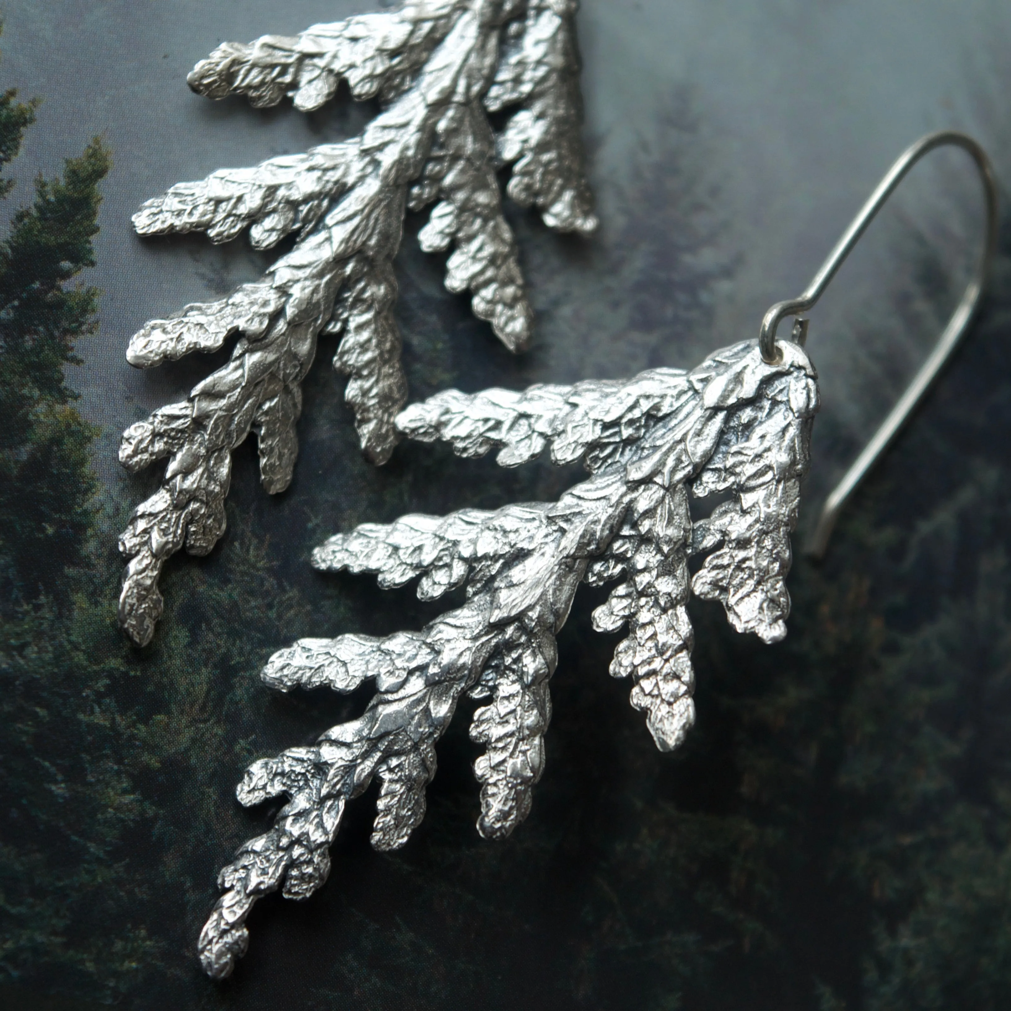 Cedar Earrings