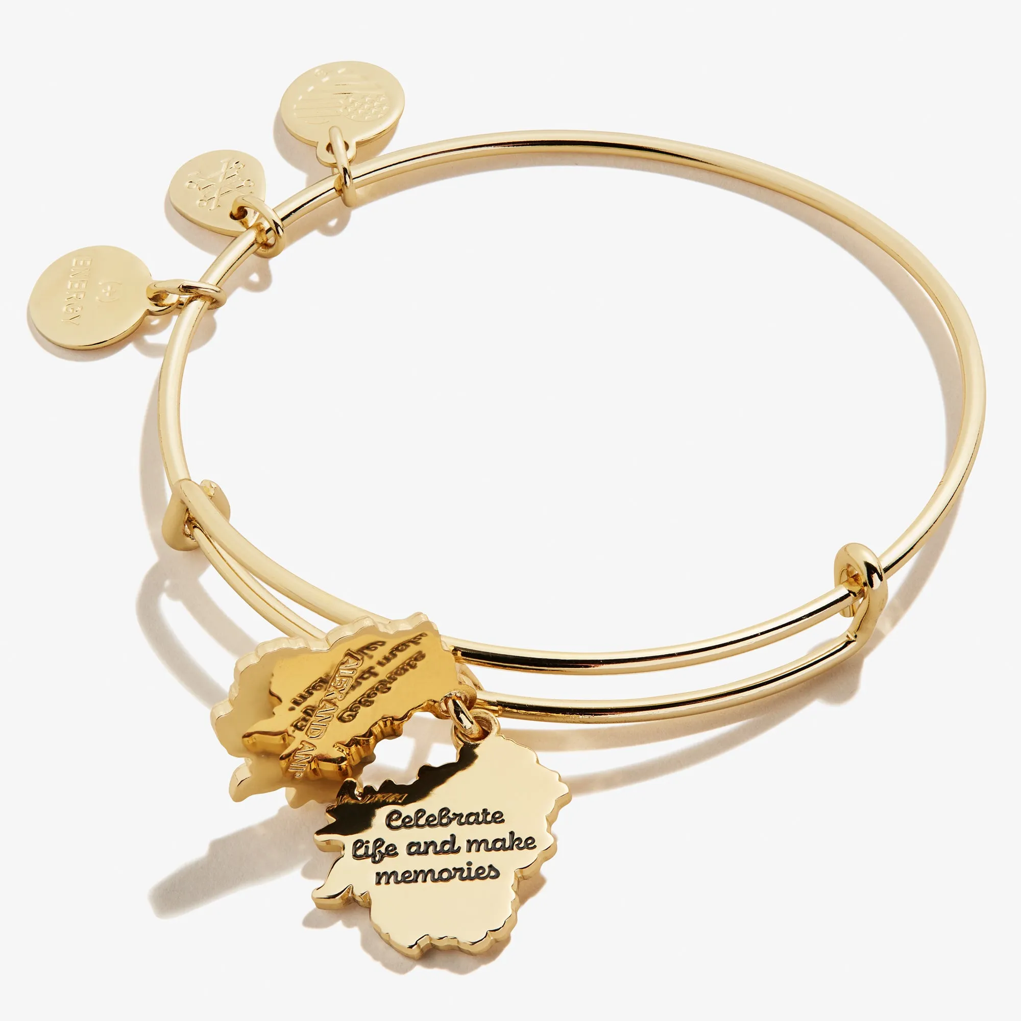 Delphinium Flower Mantra Charm Bangle