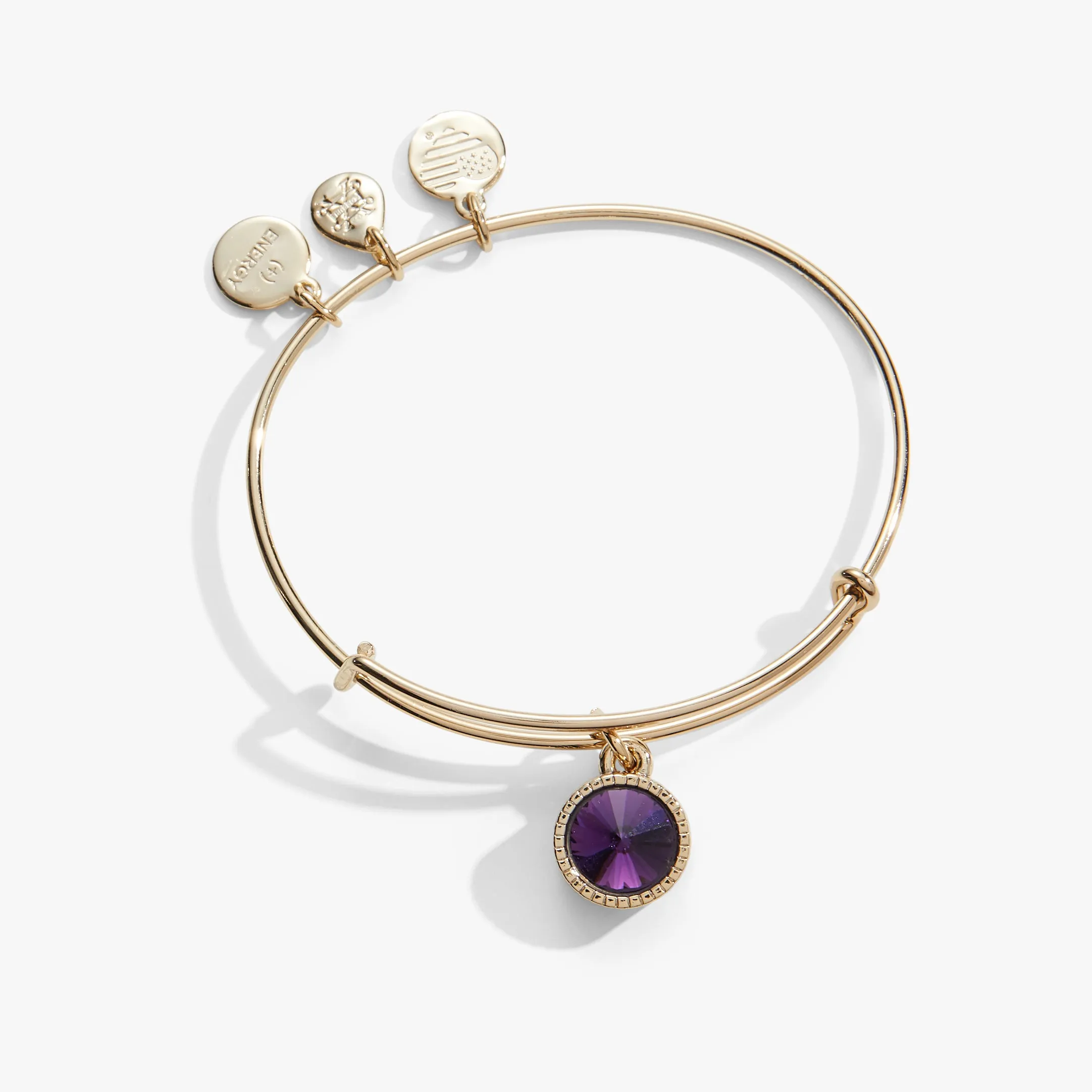 February Birthstone Charm Bangle, Amethyst