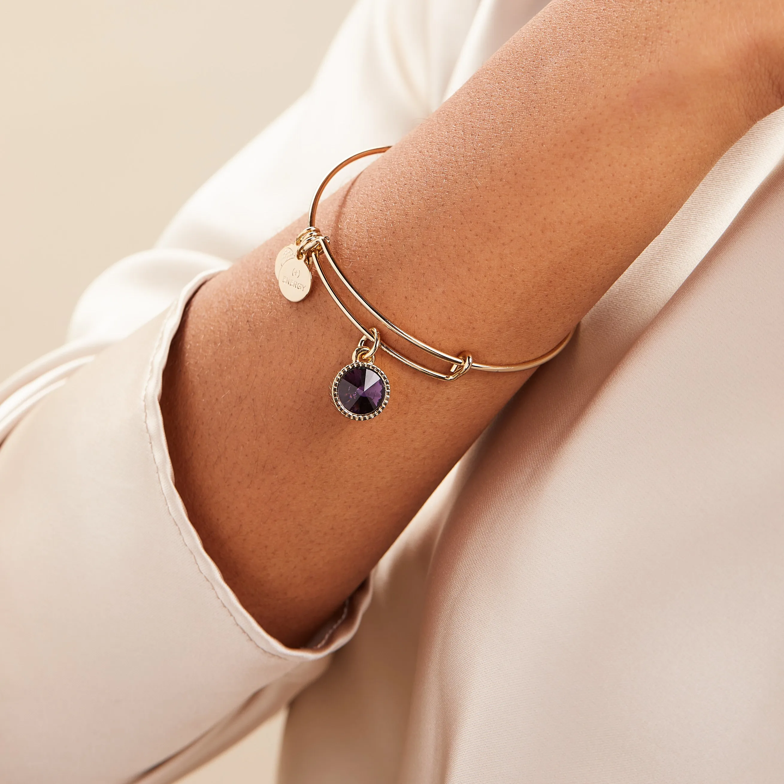 February Birthstone Charm Bangle, Amethyst