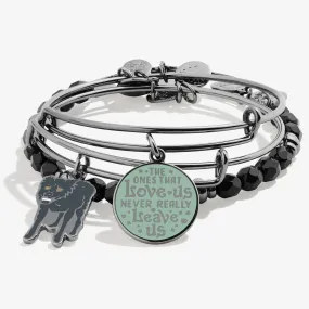 Harry Potter Sirius Black Charm Bangle Bracelets, Set of 3