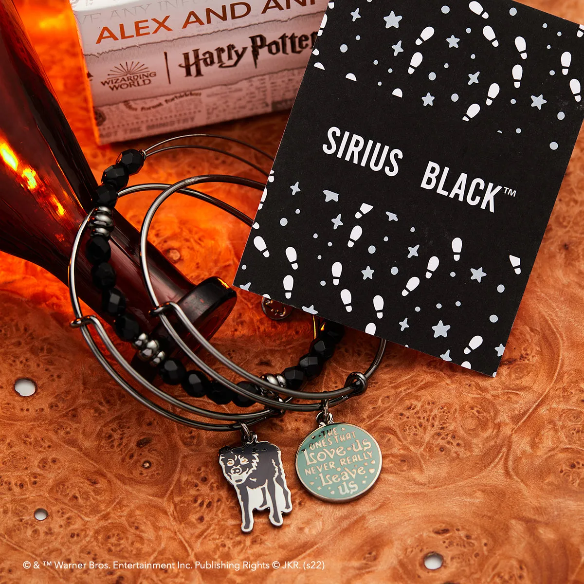 Harry Potter Sirius Black Charm Bangle Bracelets, Set of 3