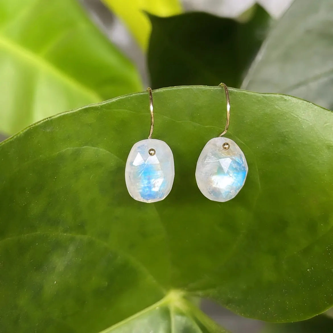 Petite free form rainbow moonstone earrings