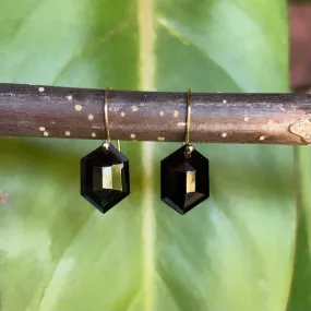 Petite hexagon black spinel earrings